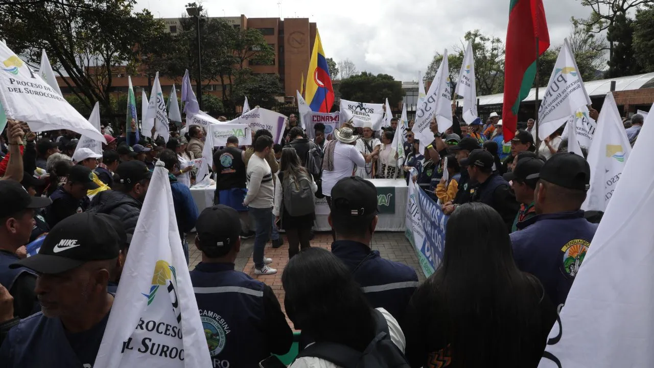 imagen dada